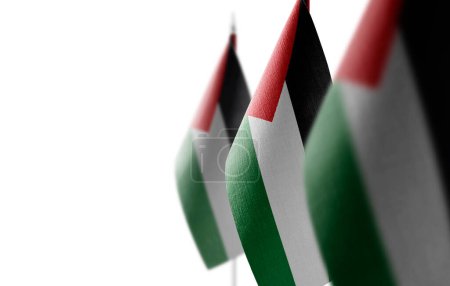 Foto de Pequeñas banderas nacionales de Palestina sobre un fondo blanco - Imagen libre de derechos