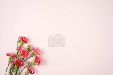 Téléchargez les photos : Concept design de fête des mères accueil avec bouquet d'oeillets sur fond de table rose - en image libre de droit