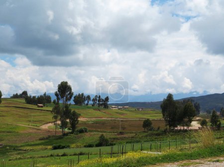 Photo for "Agricultural field in Sacred Valley, Cusco" - Royalty Free Image