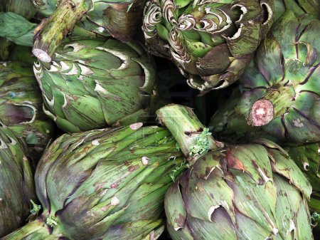 Photo for Fresh artichoke background view - Royalty Free Image