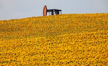 Photo for Sunflowers and Pumpjack background view - Royalty Free Image