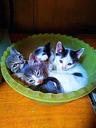 Foto de Estilo de pintura digital que representa gatitos manchados de blanco, negro y marrón en un tazón de plástico - Imagen libre de derechos
