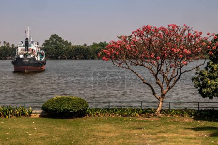 Photo for View of Chao Phraya  river and the cargo ships flost into  the middle river with the  beautiful Waterfront tree. - Royalty Free Image