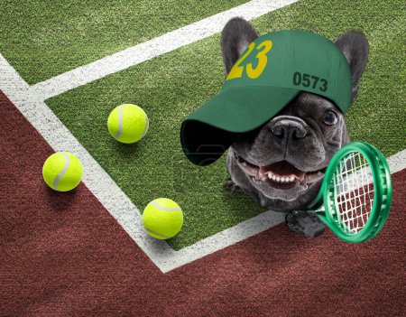 Photo for Tennis player dog close up - Royalty Free Image