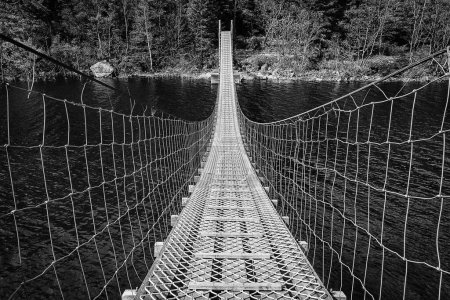 Photo for Suspension bridge over a river in black and white - Royalty Free Image