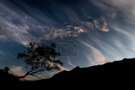 Téléchargez les photos : Beau ciel couchant avec des nuages sur fond de nature - en image libre de droit