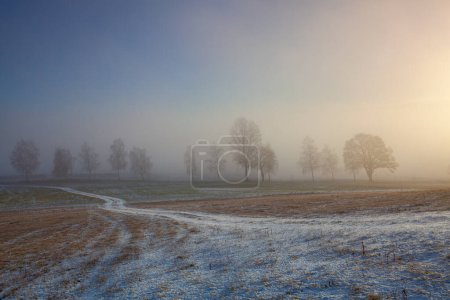 Foto de Paisaje invernal en la dramática niebla matutina
. - Imagen libre de derechos