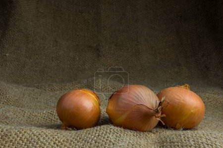 Téléchargez les photos : Vue rapprochée des oignons mûrs non pelés - en image libre de droit