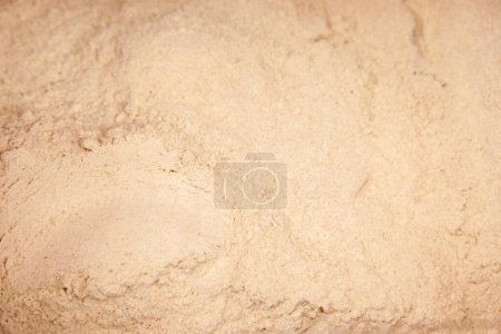 Photo for Close-up shot of organic spelt flour - Royalty Free Image
