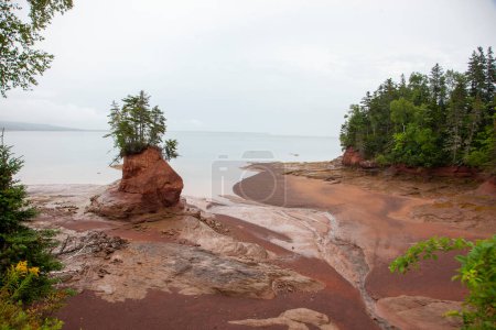 Téléchargez les photos : Vue de l'île à marée basse - en image libre de droit