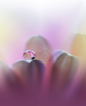 Photo for Beautiful Nature Background. Floral Art Design. Abstract Macro Photography - Royalty Free Image