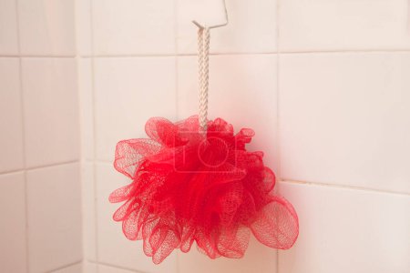 Foto de Flor roja en la percha en la ducha - Imagen libre de derechos