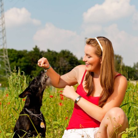 Téléchargez les photos : A woman playing with her dog in a meadow - en image libre de droit