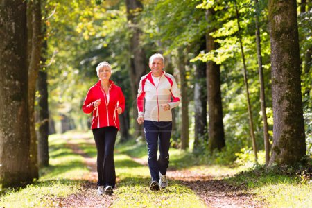 Photo for Seniors jogging on a forest road - Royalty Free Image