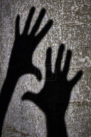 Téléchargez les photos : Vue des ombres à deux mains - en image libre de droit