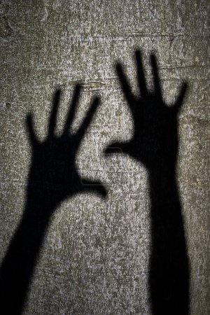 Téléchargez les photos : Vue des ombres à deux mains - en image libre de droit
