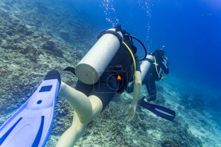Téléchargez les photos : "Deux plongeurs plongée sous-marine en mer tropicale au récif
" - en image libre de droit