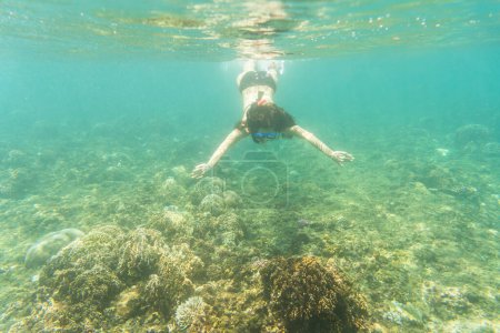 Foto de "Mujer haciendo snorkel sobre el suelo del mar tropical
 " - Imagen libre de derechos