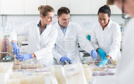 Photo for "Group of scientists in food laboratory with samples in petri dishes " - Royalty Free Image