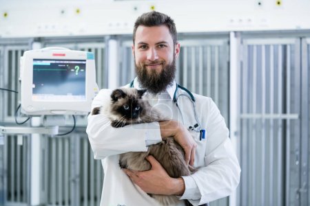 Photo for "Veterinarian pet doctor holding cat patient in his animal clinic" - Royalty Free Image