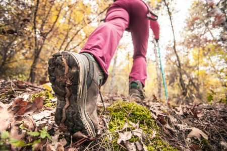 Téléchargez les photos : "Une randonneuse dans une montagne. Vue à faible angle de la chaussure de sport générique et des jambes dans une forêt. Style de vie sain en plein air." - en image libre de droit