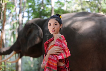 Téléchargez les photos : "Portrait de belle femme thaïlandaise rurale porter robe thaïlandaise avec éléphant dans la province de Surin, Thaïlande" - en image libre de droit