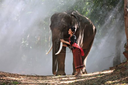 Foto de Retrato de elefante con chica asiática - Imagen libre de derechos