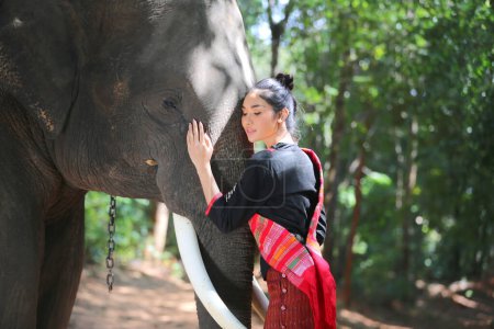 Téléchargez les photos : "Belle femme thai fille portant des robes de culture autochtone passer du temps avec l'éléphant dans la jungle à la campagne, village d'éléphants Surin, Thaïlande" - en image libre de droit