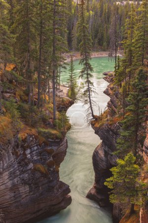 Foto de "Athabasca Falls en el Parque Nacional Jasper " - Imagen libre de derechos