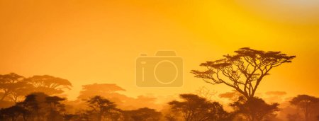 Photo for Zambia picture , travel place on background - Royalty Free Image