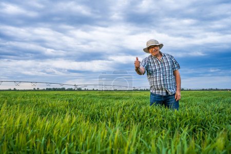 Photo for Farmer man in the field view - Royalty Free Image