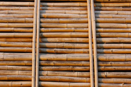 Foto de Textura de fondo de pared de bambú - Imagen libre de derechos