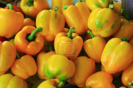 Photo for Bell peppers, close-up view - Royalty Free Image