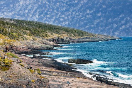 Téléchargez les photos : Côte de Terre-Neuve, vue panoramique - en image libre de droit