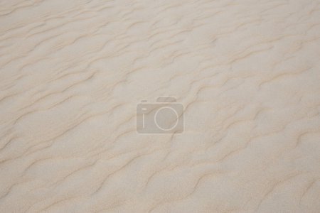 Photo for Beige texture, sandy soil surface - Royalty Free Image