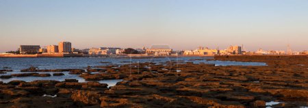 Photo for Panorama of Cadiz city - Royalty Free Image