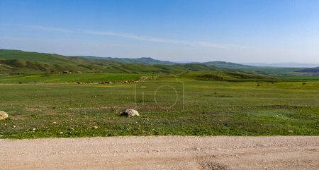 Téléchargez les photos : "Paysage pastoral dans les champs verts de Kahetia" - en image libre de droit