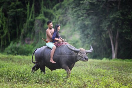 Photo for Couple Thai farmers family happiness time riding on buffalo on the field, Thailand - Royalty Free Image