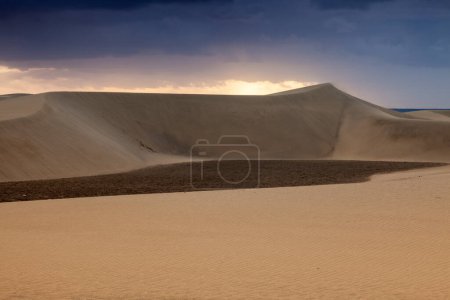 Photo for Sand Dunes in Maspalomas - Royalty Free Image
