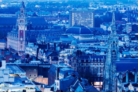 Téléchargez les photos : "Vue aérienne de Lille
" - en image libre de droit