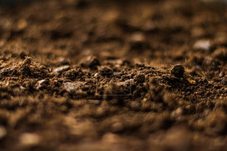 Photo for Earth ground texture as background, nature and environment - Royalty Free Image