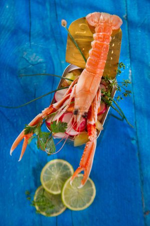 Photo for Crustacean canned, close-up view - Royalty Free Image