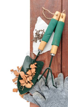 Téléchargez les photos : Vue de dessus du fond des outils de jardinage - en image libre de droit