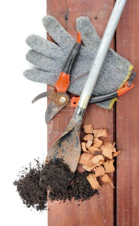 Téléchargez les photos : Vue de dessus du fond des outils de jardinage - en image libre de droit