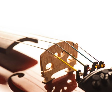 Téléchargez les photos : Détail du violon classique - en image libre de droit