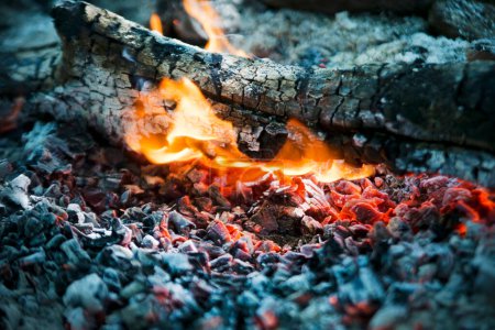 Photo for Wood burning phase, beautiful bonfire - Royalty Free Image