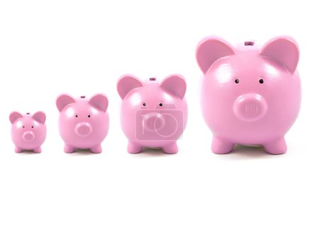 Photo for Grow Your Savings - 3 piggy bank on white - Royalty Free Image