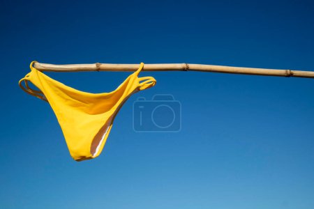 Téléchargez les photos : Maillot de bain féminin coloré pour sécher au soleil - en image libre de droit