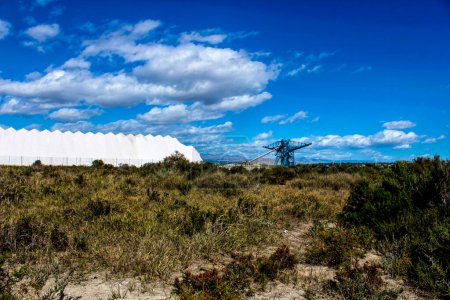 Téléchargez les photos : Salinas and vegetation under blue sky - en image libre de droit