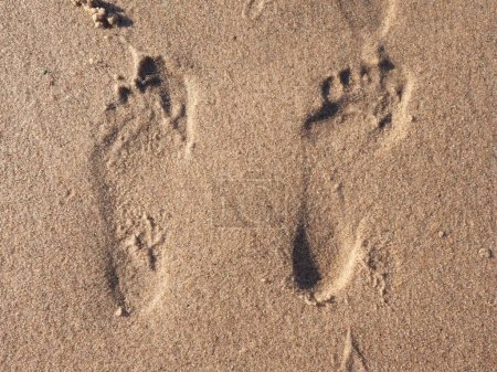 Téléchargez les photos : Empreintes humaines sur la plage de sable, vue rapprochée - en image libre de droit